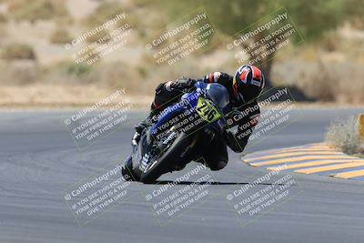 media/May-14-2023-SoCal Trackdays (Sun) [[024eb53b40]]/Turn 5 Tree of Life (1125am)/